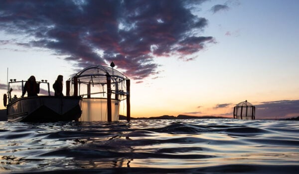 KOSMOS Bergen 2022: Mesocosm study on OAE studying silicate- vs carbonate-based OAE on a (post)spring-bloom community including fish larvae. Here, 10 of our „big" mesocosms of ~25m length and each holding a volume of ~50.000L, were deployed in the Raunefjord, close to Bergen, Norway in April/May for ~6 weeks for the EU-funded project OCEAN-NETs. Credit: Michael Sswat GEOMAR