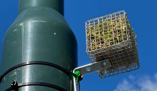 Denne lille mosekuben måler hvor mye mikroplast det er i lufta du puster inn